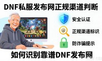 dnfsf发布网怎么找靠谱版本 老玩家经验分享