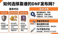 dnfsf发布网怎么选靠谱服 新手避坑指南